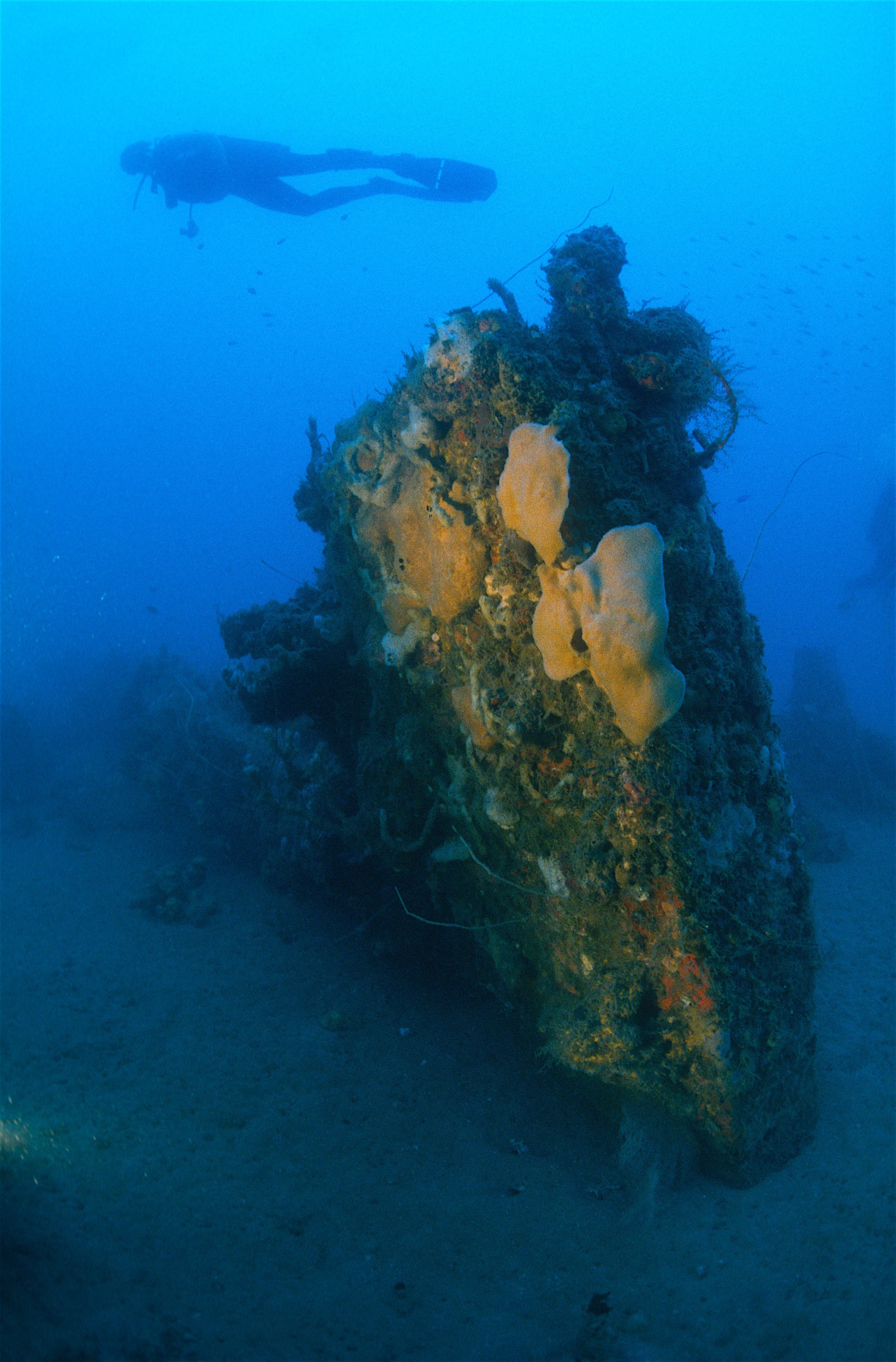01Biscaye© Claude Rives Trois Mâts basque